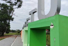 Taman Kota Terbengkalai Dipenuhi Rumput Liar