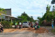 Rusak Makin Parah, Warga Swadaya Perbaiki Jalan Provinsi