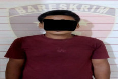 Diduga Curi Karet di Lapak, Seorang Petani Ditangkap Polisi