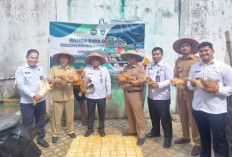 Lakukan Panen Raya, Hasilnya Langsung Diserap Dapur dan Pengepul