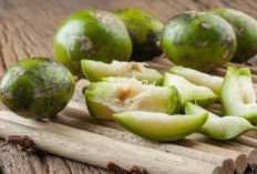 Manfaat Dahsyat Buah Kedondong yang Jarang Diketahui