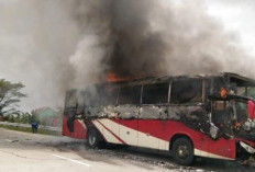 Bus Agra Mas Terbakar, ini Nasib Penumpangnya