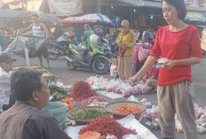 Harga Cabai Merah di OKU Mulai Turun, Namun Masih Tinggi