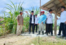 Bupati OKU Bangun Jalan dengan Dana Pribadi