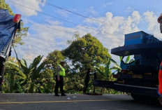 PLN ULP Lembayung dalam membantu proses evakuasi kecelakaan bus yang mengenai jaringan listrik