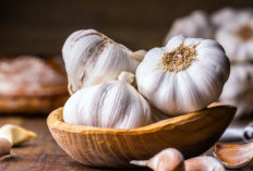 5 Manfaat Konsumsi Bawang Putih Setiap Hari untuk Kesehatan Tubuh