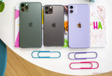 iPhone 11 Pro Max Masih Jadi Favorit di 2025, Kini Mulai dari Rp 7 Jutaan!