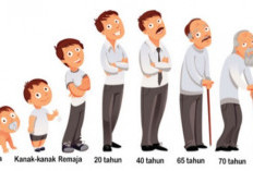 Waspadai! Faktor Risiko yang Bisa Meningkatkan Kemungkinan Terjadinya Tumor Otak