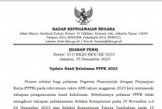 Hasil Pengumuman Seleksi PPPK 2023 Mundur