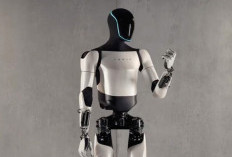 Kemajuan Robot Humanoid Tesla Optimus dalam Navigasi Otomatis di Medan Tidak Rata
