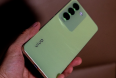 Rekomendasi HP Kamera Terbaik di Bawah 5 Juta untuk Content Creator 2025