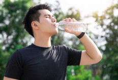 Bukan Cuma Enak, 5 Minuman Ini Bisa Jaga Kesehatan Jantung Anda!