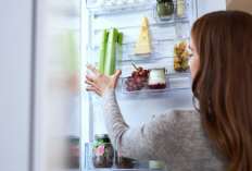 4 Rekomendasi Kulkas 2 Pintu Rp5 Jutaan Hemat Energi, Muat Banyak, Cocok untuk Keluarga Indonesia