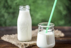 Manfaat Susu Cair UHT Full Cream untuk Kesehatan  