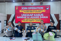 Polda Sumsel Bongkar Ladang Ganja 20 Hektar di Empat Lawang, 220 Kg Ganja dan Bandar Utama Ditangkap
