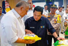 Mayor Jenderal TNI Ditunjuk jadi Dirut Bulog