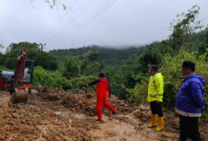 Setelah Longsor, Akses Jalan OKU Selatan–Bengkulu Normal Kembali