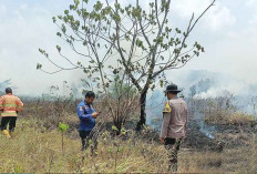 Lahan Terbakar, Warga Pemukiman Panik