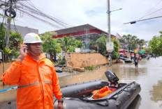 PLN Pulihkan Listrik Pascabencana, Warga Bali Kembali Beraktivitas