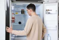 Dari Sharp sampai Bosch Mana Kulkas Premium yang Benar-Benar Worth It di 2025?