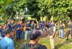 Warga Gunung Kuripan Geruduk PT AOC, Tagih Janji Kerja dan Kompensasi