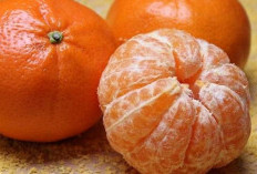 Manfaat Menakjubkan Jeruk untuk Daya Tahan Tubuh Anak