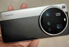 Xiaomi 15 dan 15 Ultra Versi Global Resmi Meluncur di MWC 2025, Ini Bedanya dengan Versi China