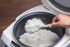 3 Cara Mencegah Nasi Lengket di Bagian Bawah Rice Cooker