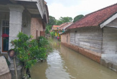 Banjir di OKU Timur Meluas, Ribuan Rumah Terendam
