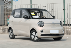 Harga Bikin Ngiler! Wuling Mini EV Bisa Jalan 300 Km, Tapi Indonesia Belum Kebagian