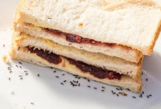 Tips Efektif Melindungi Makanan Manis dari Serangan Semut