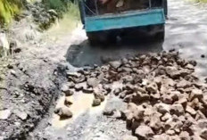 Komunitas Sopir Truk Patungan Timbun Jalan Rusak