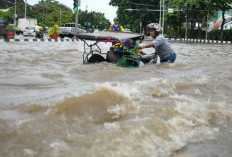 Hujan Disertai Petir Bakal Dominasi Cuaca di Sumsel