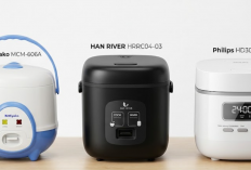 Rice Cooker Mini Paling Worth It buat Anak Kos dan Pasangan Baru Ini Pengalaman Saya Milihnya