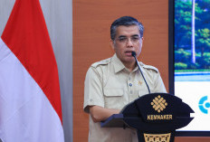 Kompetensi Gratis bagi Alumni MagangHub