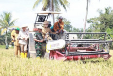 Targetkan 1,2 Juta Ton GKG 