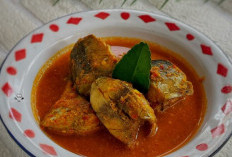 Hangat dan Segar! Resep Asam Padeh Tongkol untuk Menu Spesial Keluarga