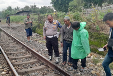 Pengendara Motor Ditabrak Kereta di Lahat