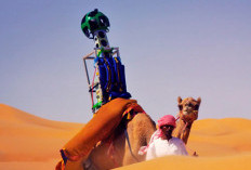 Google Gunakan Unta untuk Dokumentasi Street View di Gurun Liwa, Abu Dhabi