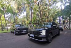 Hyundai Palisade 2025 Hadir, Tawarkan Kenyamanan dan Tenaga Besar
