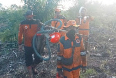 Musim Kering Datang, Kebakaran Lahan Gambut Mulai Bermunculan 