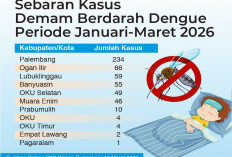 Kasus DBD di Sumsel Menurun