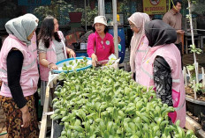 PLN Perkuat Kontribusi Perempuan lewat Srikandi Movement