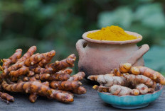 Manfaat Kunyit untuk Penderita Asam Lambung, Efektifkah?