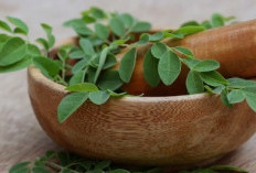 7 Tanaman Herbal yang Terbukti Membantu Kesehatan Jantung Secara Alami
