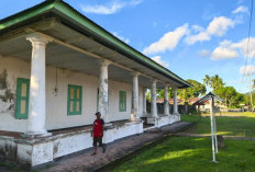 Cinta Alwi
