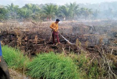 Masuk Musim Hujan, Masih Terjadi Kebakaran di OKI