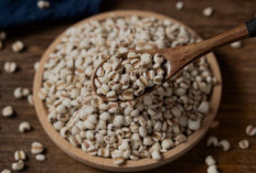 Manfaat Jali-Jali, Superfood Tradisional yang Bikin Tubuh Lebih Fit
