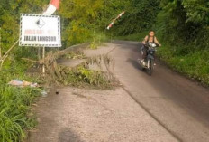 Jalan Provinsi Ambelas Makan Separuh Badan Jalan