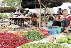 Harga Cabai Dusun Mulai Naik